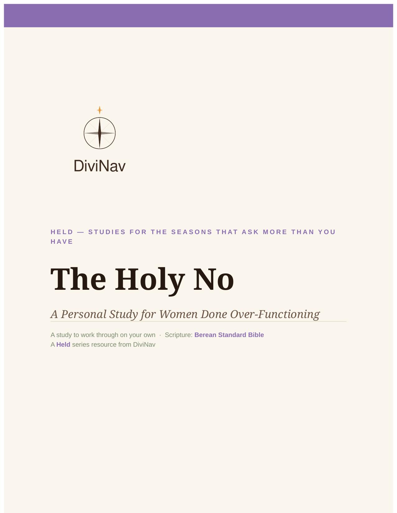 The Holy No cover